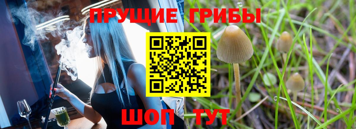 Псилоцибиновые грибы ЛСД  Вход с VPN  Шадринск 